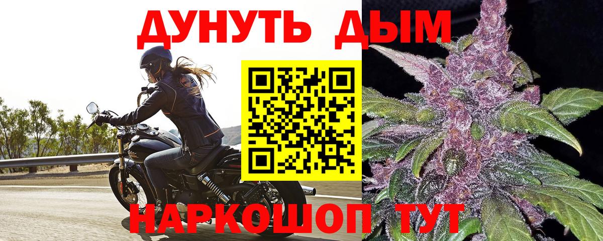 Бошки марихуана сатива  Вход с VPN  Димитровград  Марихуана White Widow  МАРИХУАНА тримм 